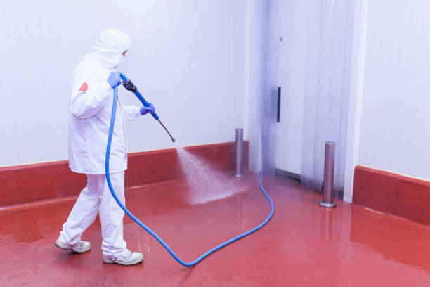 Best Sidewalk and Walkway Cleaning  in Chico, CA